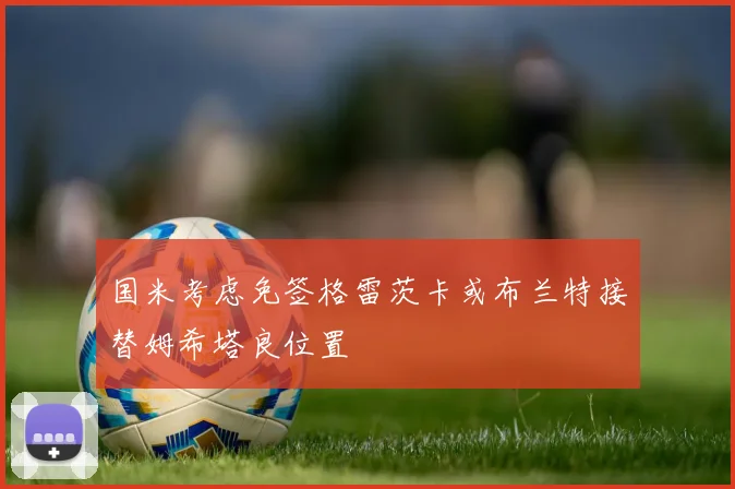 国米考虑免签格雷茨卡或布兰特接替姆希塔良位置