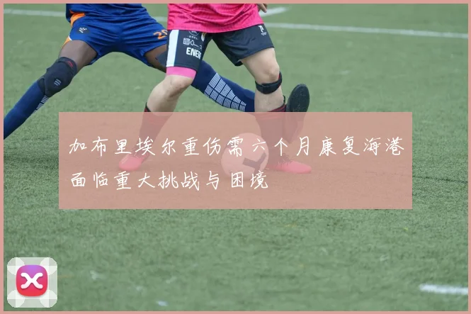加布里埃尔重伤需六个月康复海港面临重大挑战与困境