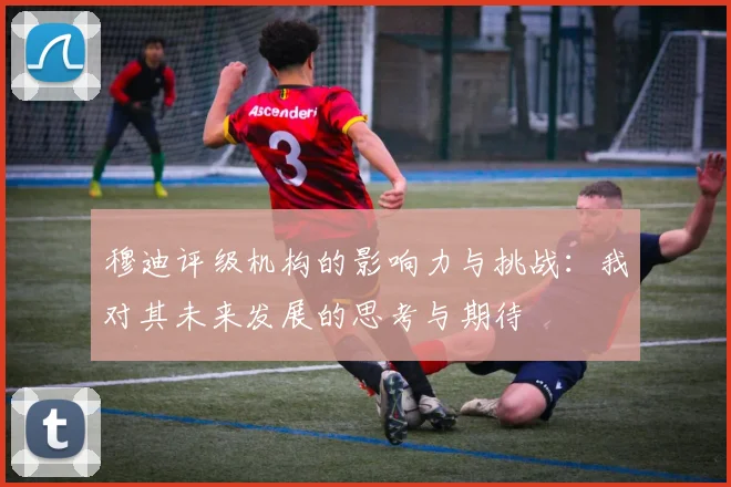 穆迪评级机构的影响力与挑战：我对其未来发展的思考与期待